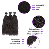 Kinky Curly Virgin Human Hair Natural Black Bundles (100 grams) - AdiraExclusive