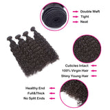 Natural Curly Virgin Human Hair Natural Black Bundles (100 grams) - AdiraExclusive